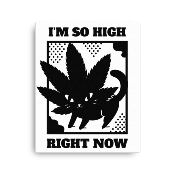 SO HIGH