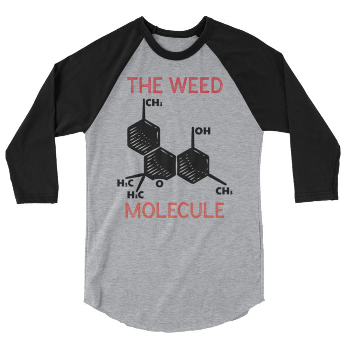 MOLECULE - Image 5