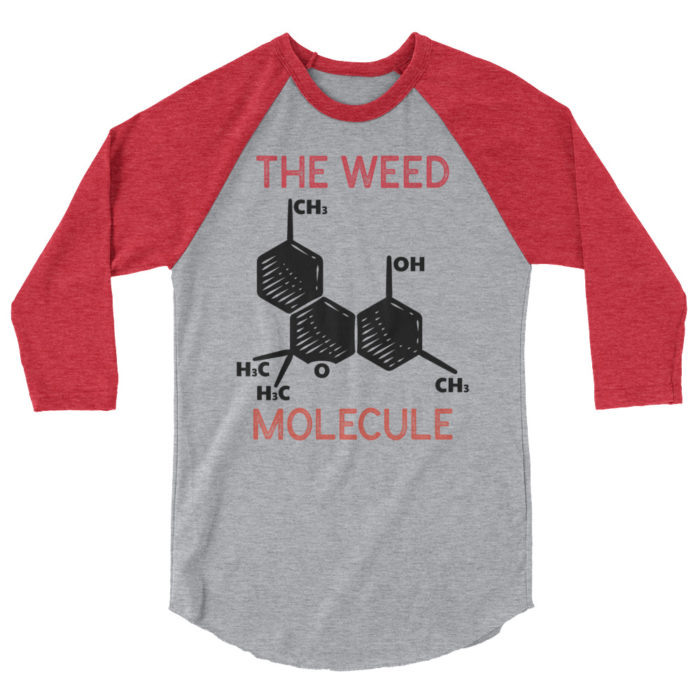 MOLECULE - Image 7