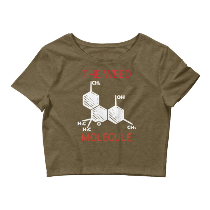 MOLECULE - Image 2