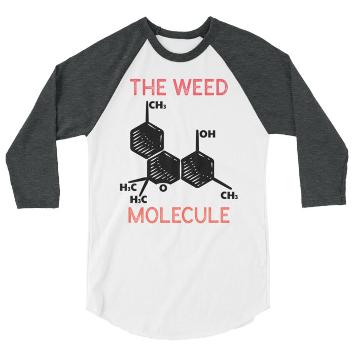 MOLECULE - Image 2