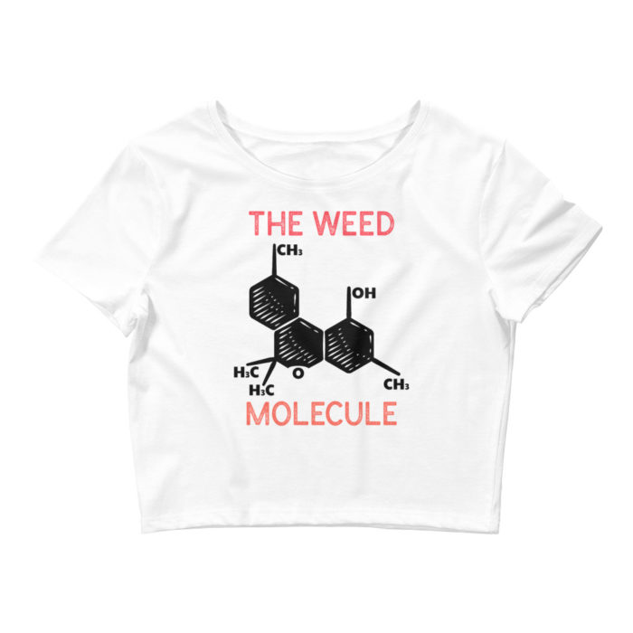 MOLECULE - Image 3