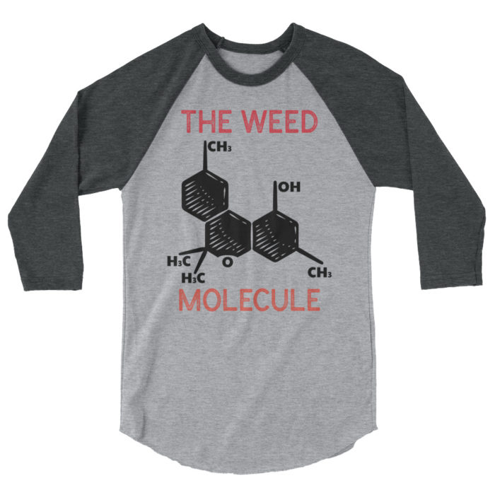 MOLECULE - Image 6