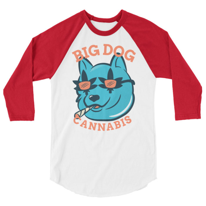 BIG DOG - Image 5