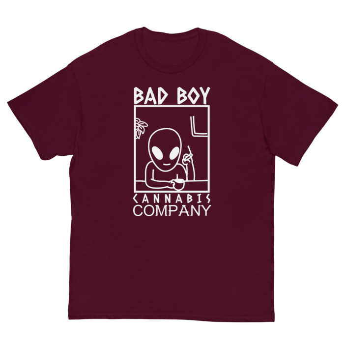 BAD BOY - Image 2