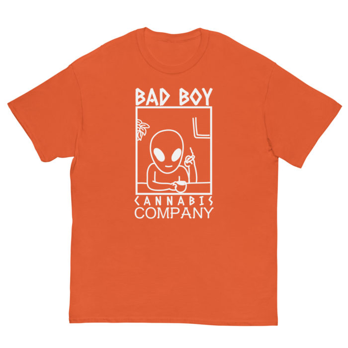 BAD BOY - Image 9