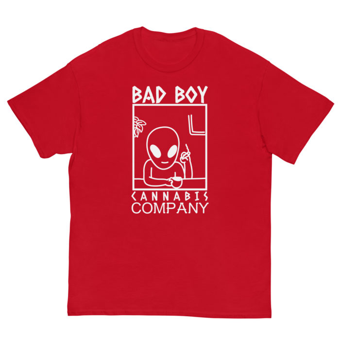 BAD BOY - Image 5
