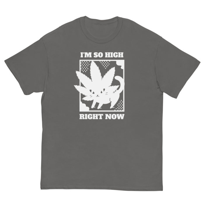 SO HIGH - Image 9