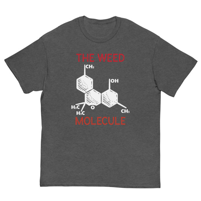 MOLECULE - Image 6