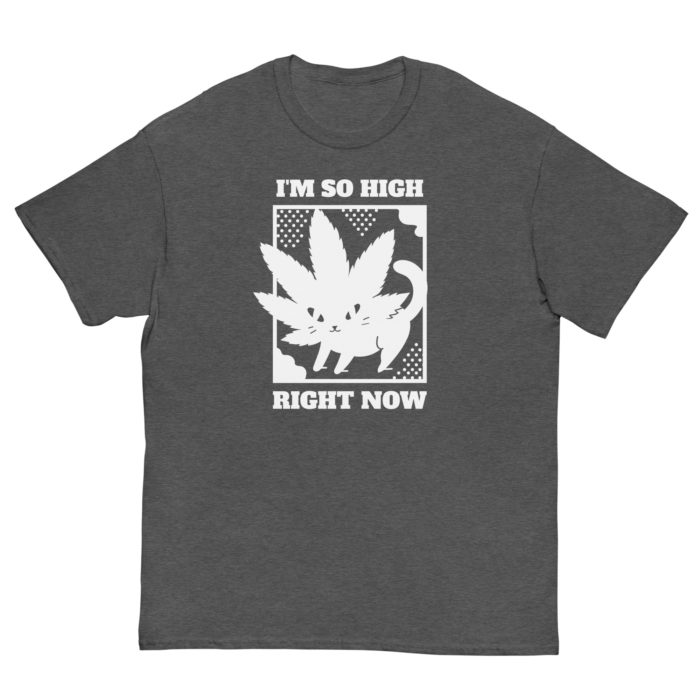 SO HIGH - Image 8