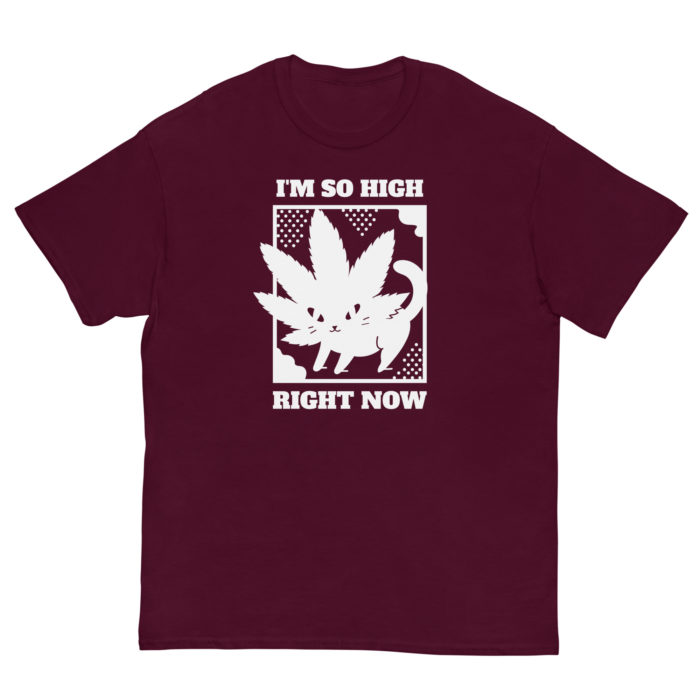 SO HIGH - Image 2