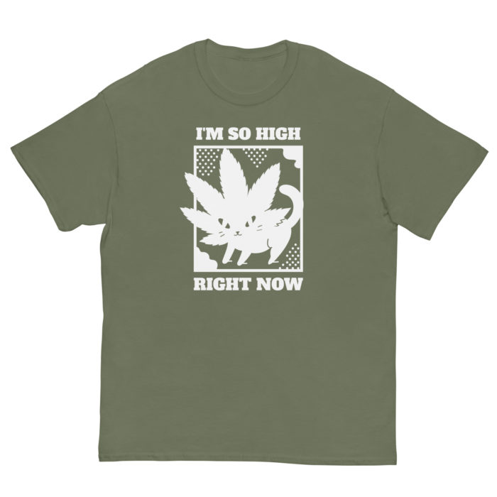 SO HIGH - Image 10