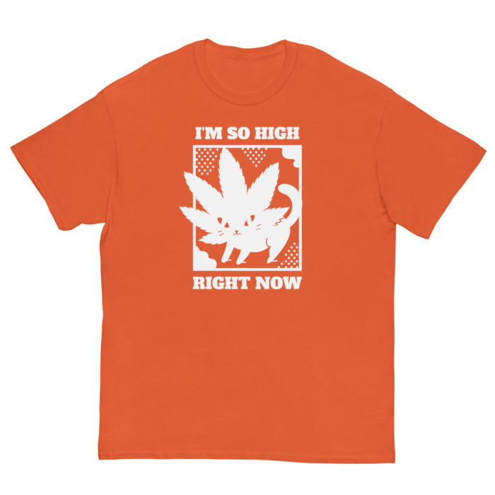 SO HIGH - Image 11