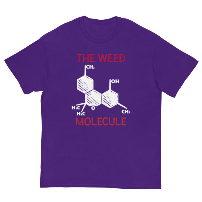 MOLECULE - Image 3