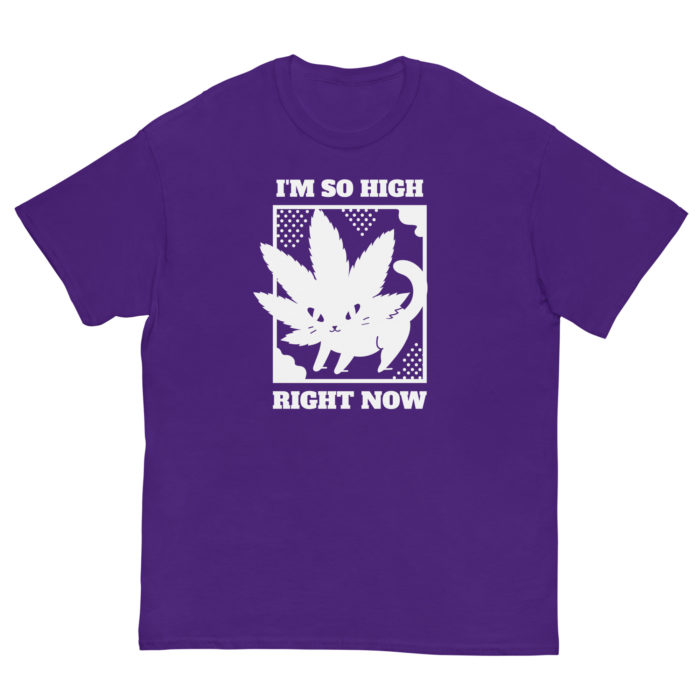 SO HIGH - Image 4