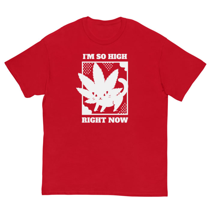 SO HIGH - Image 5