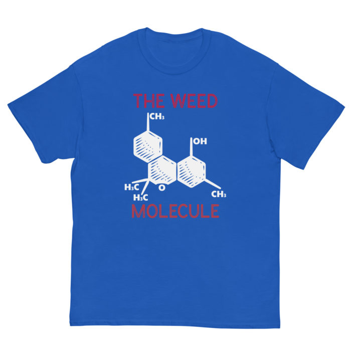 MOLECULE - Image 5