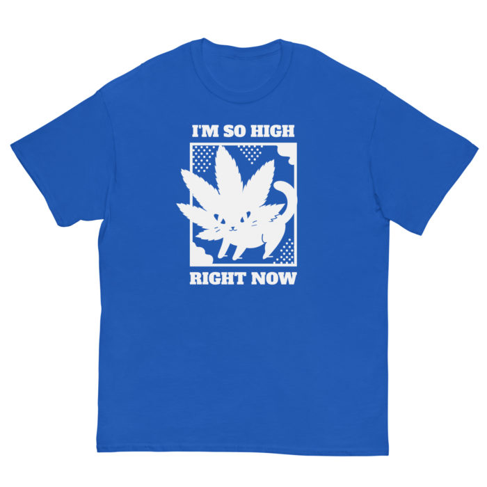 SO HIGH - Image 7